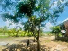 Đất vườn Diên Thọ 1843 m2 ( quy hoạch đất ở )