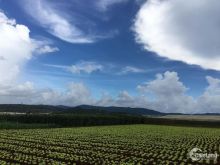 đất nông nghiệp 3200m2 Vị trí : cách nhà thờ suối thông tầm 500m, cách quốc lộ