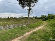 Đất ấp Bàu Công xã Tân Mỹ, MT đường 4m, gần KDC Vingroup DT 8.400m2. Giá 5tỷ5