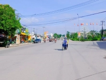 ĐẤT LÀM VƯỜN ĐANG TRỒNG MAI CẦN BÁN GẤP CHỈ 450.000Đ/M2