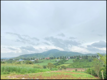 Hiệp- Đức Trọng-Lâm Đồng   Diện tích 5x27m bao 75m2 thổ cư  Cách sân bay Liên Kh