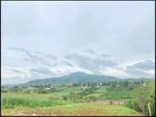 Hiệp- Đức Trọng-Lâm Đồng   Diện tích 5x27m bao 75m2 thổ cư  Cách sân bay Liên Kh