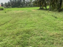 Lô đất mặt tiền tại Thạnh Trị Gò Công Tây giá tốt