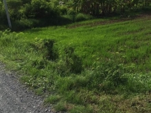 BÁN GẤP ĐẤT MẶT TIỀN ĐƯỜNG KÊNH AN THẠNH THỦY, GÒ CÔNG TÂY