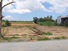 Cần bán đất xã Long Hòa - TX Gò Công mặt tiền nhựa Xóm Chồi