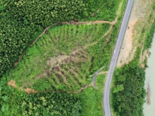 Bán Lô đất mặt tiền QL27C. Diện tích 1,4ha