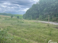 ĐẤT KHÁNH VĨNH 100% ĐẤT Ở 2426m2