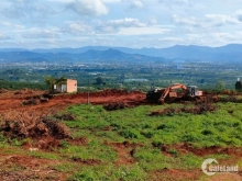 10x100 có sổ hồng riêng - Đường bê tông trước đất 4m - Điện và hệ thống chiếu sá