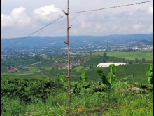 Cần bán nhanh lô đất đẹp cao nhất và giá rẻ nhất luôn