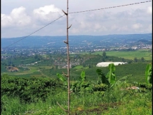 Cần bán nhanh lô đất đẹp cao nhất và giá rẻ nhất luôn