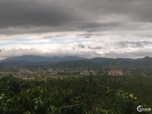 2 héc giá 2 tỷ dạ rsal gần chợ, quí khách có nhu cầu liên hệ BDS an sơn,,,,03993