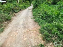 Bán 2404,3m đất ruộng thuộc khóm 4, thị trấn cái nhum, mang thít