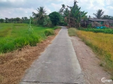 Bán 2.221m vuông đất lúa thuộc khóm 4, thị trấn cái nhum, mang thít