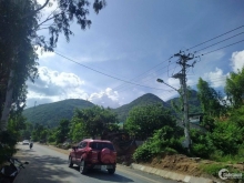 Chuyển nhượng ngay 1 lô đất CLN (Hiện trạng qui hoạch thương mai, dịch vụ) cực đ