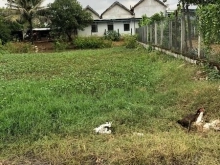  Cần bán đất tân hưng, ninh hưng, tx ninh hoà.