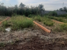 10 công xã Phú Lộc - Huyện Tam Bình - TP. Vĩnh Long: