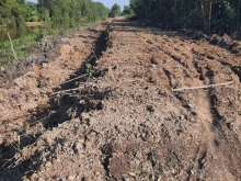 Cần bán 13,7 công đất, mỗi công 200 triệu tại Tân Phước, Tiền Giang