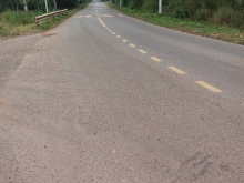 Cần bán mãnh đất đang trồng điều tại Xuân Tâm, Xuân Lộc, Đồng Nai. Dt: 14000m2