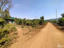 Đất vườn Đinh Trang Hòa 1500m2 giá 425tr sổ riêng