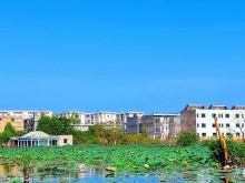 Căn Hộ Cao Cấp View Hồ Sen Siêu Hot Đặc Biệt Có Sổ Hồng Riêng Từng Căn