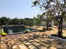 [Gần chính chủ] Bán nhà biệt thự đẳng cấp, siêu đẹp