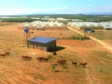 "Đầu tư rồi chờ đợi, đừng chờ đợi để đầu tư" đất xã Hòa Thắng giá 90k/m2