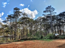 đất đồi thông mộng mơ, xã nâm n jang huyện đăk song đăk nông giá cực kỳ ưu đãi