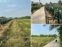 Cần tiền bán gấp đất vườn an ngãi trị, tp Tân An, Long An