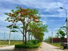 Đón đầu xu đướng đầu tư BĐS khu vực Cảng Hàng Không Thọ Xuân.