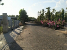 Bán sào đất vườn nhãn có sẵn 100m2 thổ cư tại xuyên mộc