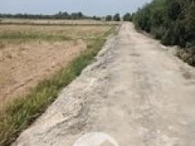 bể nợ bán 6,7 ha  giá 1ty/ ha gần đường 818