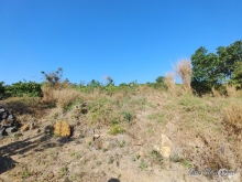 Cần bán 7,6 sào đất ở Thiện Chí,Ninh Gia,Đức Trọng,Lâm Đồng,650 triệu/sào TL