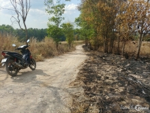 Bán 2 hecta đất cafe ở xã Ninh Giá,D9u7v1 Trọng,Lâm Đồng,giá 5 tỷ TL chính chủ