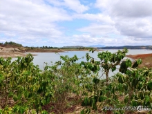 Bán 24.000m2 đất Farm & nghỉ dưỡng view hồ Đại Ninh,xã Tà Hine,Đức Trọng,21 tỷ
