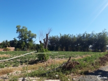 Bán lô đất vườn 5038m2 ngay Trung Tâm Thị Trấn Tân Châu, Ra Lê Duẩn hơn 100m.