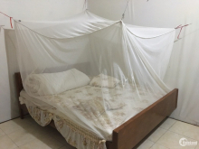 Cho thuê nhà cấp 4 – 54m vuông. Gồm 3 phòng ngủ + 1 bếp + 1 vệ sinh  đường 8m