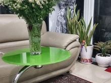 Nhà cho thuê nguyên căn full nội thất P6 Tân Bình