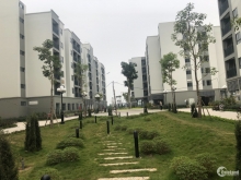 Bán căn hộ nhà ở Xã Hội tại Đại Thịnh, Mê Linh, Hà Nội giá chỉ 8tr/m2.