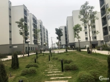 Bán căn hộ nhà ở Xã Hội tại Đại Thịnh, Mê Linh, Hà Nội giá chỉ 8tr/m2.