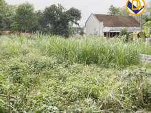 302m2 giá 6tr/1m2 đẹp miễn chê giá siêm mềm Tại Phú Cát Quốc oai Hà Nội