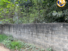 483m2 đang chào bán với giá mềm tại Cổ Đông Sơn Tây Hà Nội | Tiến Mai Dreamland