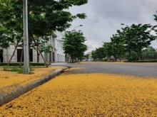 Bán Liền Kề, Biệt Thự dự án Opus One Uông Bí. Vị trí Siêu Đẹp. giá chỉ từ 2,9 tỉ