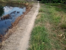 4038m2 thổ cư 1668m2 đất lúa giá chỉ 3 tỷ hết đất