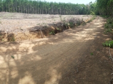 Bán đất nền  giá rẻ Bình Phước, 2 mặt tiền, giá chỉ từ 3xxxx triệu