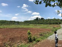 Bán đất nền tại Bình Phước giá 295 triệu/ 1000m2