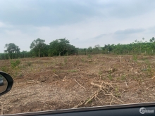 Đất Bình Phước giá hot chỉ 360 triệu/1000m2