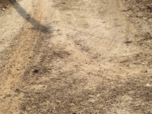 Bán 1,1ha đất Minh Thạnh Dầu Tiếng. Đường sỏi đỏ ô tô vào tận đất. Điện