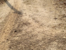 Bán 1,1ha đất Minh Thạnh Dầu Tiếng. Đường sỏi đỏ ô tô vào tận đất. Điện