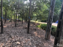 BÁN 9.5 XÀO Ở THUẬN PHÚ CÓ 80M MẶT TIỀN ĐƯỜNG BÊ TÔNG