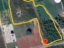 Bán 3.1 Hecta đất có sẵn vườn cây ăn trái,Ka-Nai,Phú Hội,Đức Trọng,giá 270 triệu